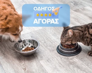 Ο Ολοκληρωμένος Οδηγός για τη Διατροφή της γάτας και του σκύλου σου!
