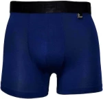 Apple Boxer 0110308 Ανδρικό Boxer Μπλε Μονόχρωμο