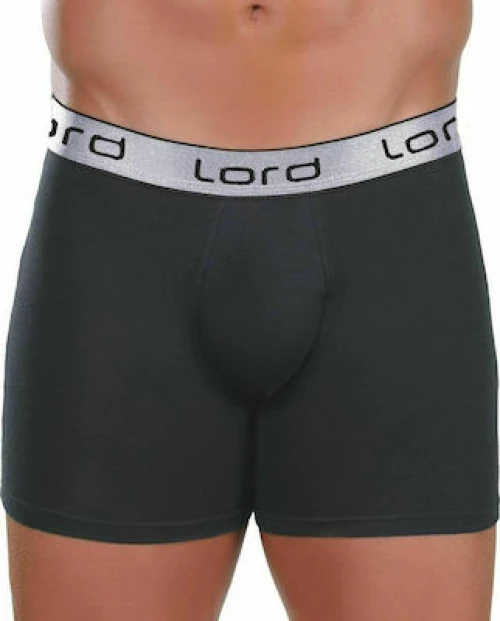 Ανδρικό Boxer shine, Χρώμα Ασημί