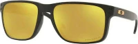 Oakley Holbrook XL OO9417-23