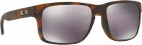 Oakley Holbrook OO9102-F4