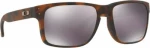 Oakley Holbrook OO9102-F4