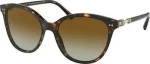 Bvlgari BV8235 504/T5