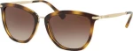 Ralph Lauren RA 5245 5003/13