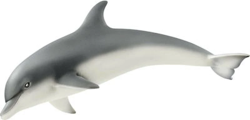 Schleich-S Παιχνίδι Μινιατούρα Wild Life Dolphin για 3+ Ετών 14808