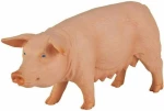 ANIMAL PLANET-ΓΟΥΡΟΥΝΙ-MEDIUM