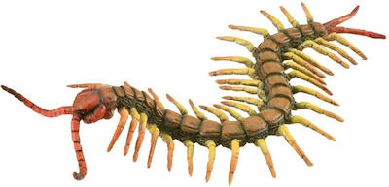 Collecta Παιχνίδι Μινιατούρα Σαρανταποδαρούσα για 3+ Ετών 15εκ. 88885