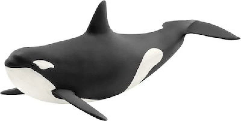 Schleich-S Παιχνίδι Μινιατούρα Wild Life Orca για 3+ Ετών 14807
