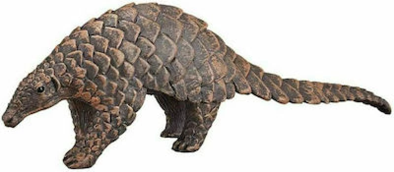 Animal Planet Ασιατικός Παγκολινος