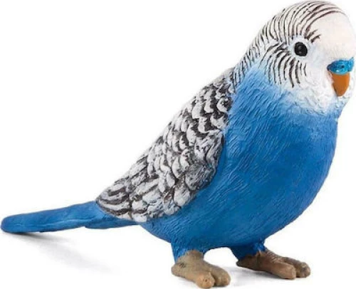 Animal Planet Παπαγαλάκι Μπλε