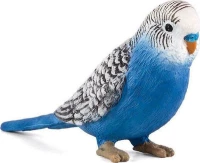 Animal Planet Παπαγαλάκι Μπλε