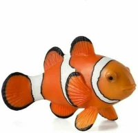Animal Planet Ψάρι Κλόουν - Medium