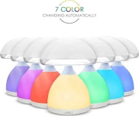 Mushroom Lamp HC-868