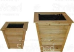 ShoWood Βέρνη 49x30cm 30059