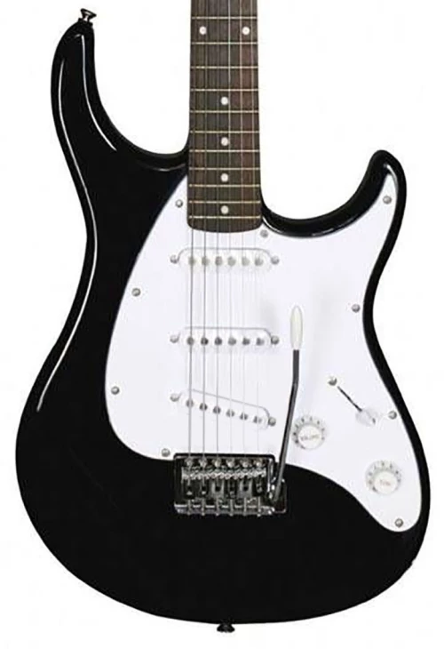 Peavey Raptor Custom - Black