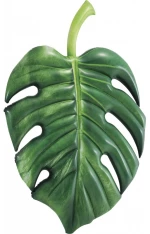 Στρωμα Palm Leaf
