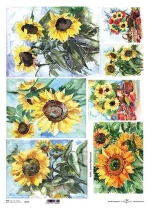 256149 Ριζόχαρτο `sunflower` 42x29.7εκ. (itd-r094l) (σετ 3 Τεμαχιων)