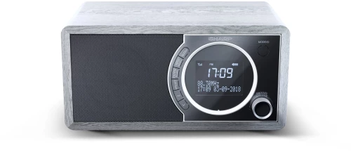 SHARP DIGITAL RADIO GRAY DR450GR