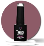 ΗΜΙΜΟΝΙΜΟ ΒΕΡΝΙΚΙ TRENDY - No043 SALTY CARAMEL- 6ml
