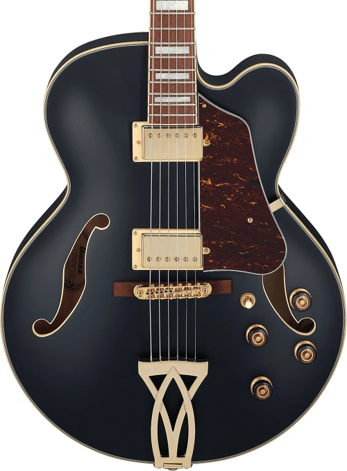 Ibanez AF75G-BKF - Black Flat