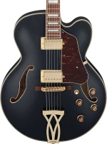 Ibanez AF75G-BKF - Black Flat