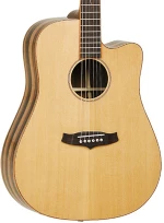 Tanglewood TWJDCE