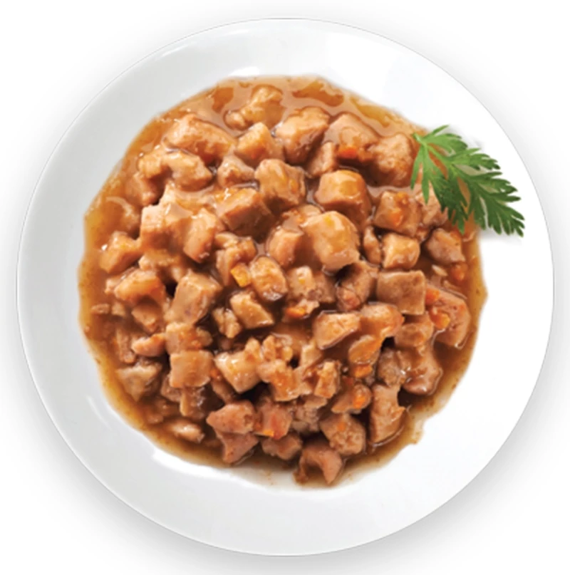 Wellness Core Tender Cuts Fillets Κοτόπουλο & Σολομό σε σάλτσα 24 x 85gr
