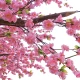 GloboStar® Artificial Garden PEACH BLOSSOM TREE 20159 Τεχνητό Διακοσμητικό Δέντρο Ανθισμένη Ροδακινιά Υ340cm
