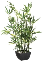 209325 ΦΥΤΟ ΣΕ ΓΛΑΣΤΡΑ GREEN PAKOWORLD 43X34X67ΕΚ