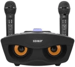 Σύστημα Karaoke με Ασύρματα Μικρόφωνα SD-306 σε Μαύρο Χρώμα