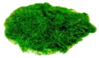 258571 Γρασίδι νάυλον πράσινο 50gr.