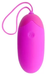 Vibrating Egg Berger Pink