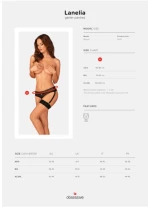 ΕΣΩΡΟΥΧΟ ΜΕ ΖΩΝΗ ΚΑΛΤΣΟΔΕΤΑΣ OBSESSIVE LANELIA GARTER PANTIES