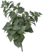 Ρίζα Πρασινάδα Με 120 Φύλλα 60cm - 28965832
