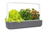 Smart Garden 9 - Dark Grey