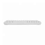 WHITE SHARK RGB GAMING MEMBRANE KEYBOARD RONIN WHITE