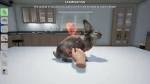 MY LIFE: PET VET - PS5