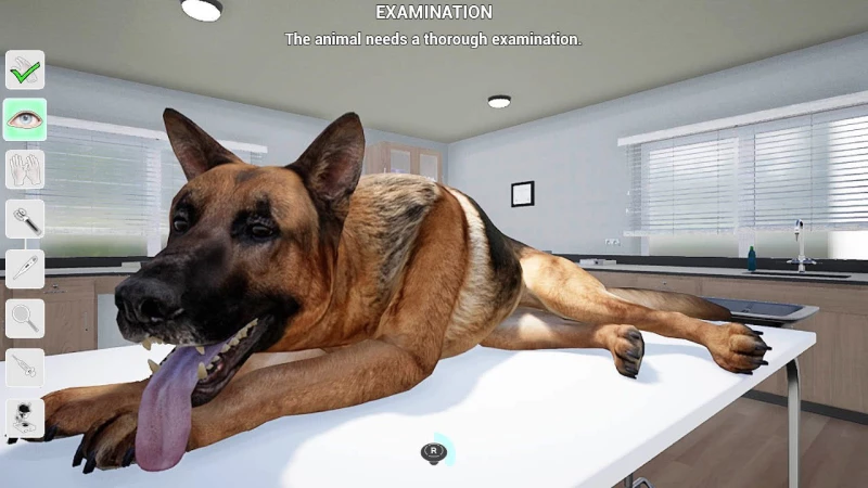 MY LIFE: PET VET - PS5