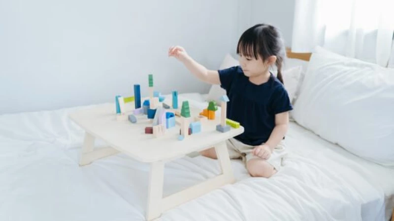 Ξύλινο Παιχνίδι Τουβλάκια  για την πόλη της Plan Toys
