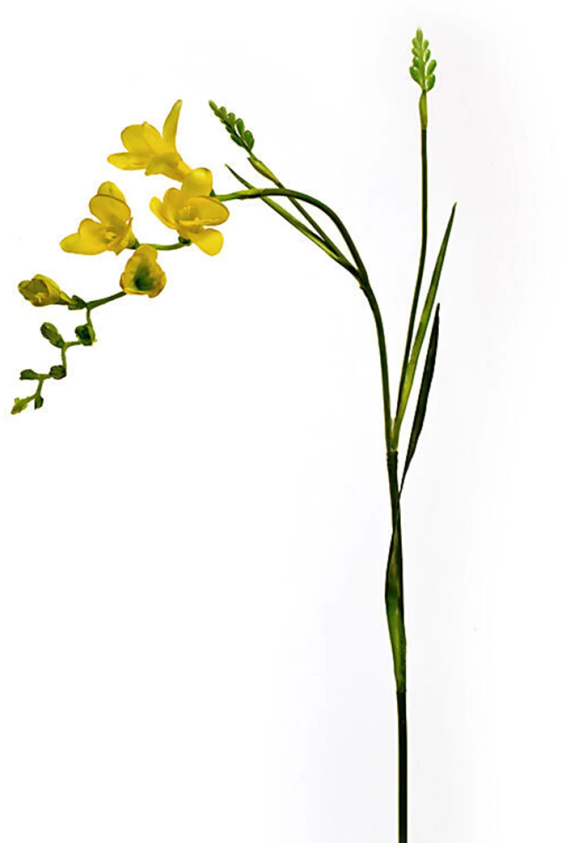 Φρέζια σε κίτρινο χρώμα 75cm HomeGuru MG980