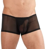 Transparent Mens Pants