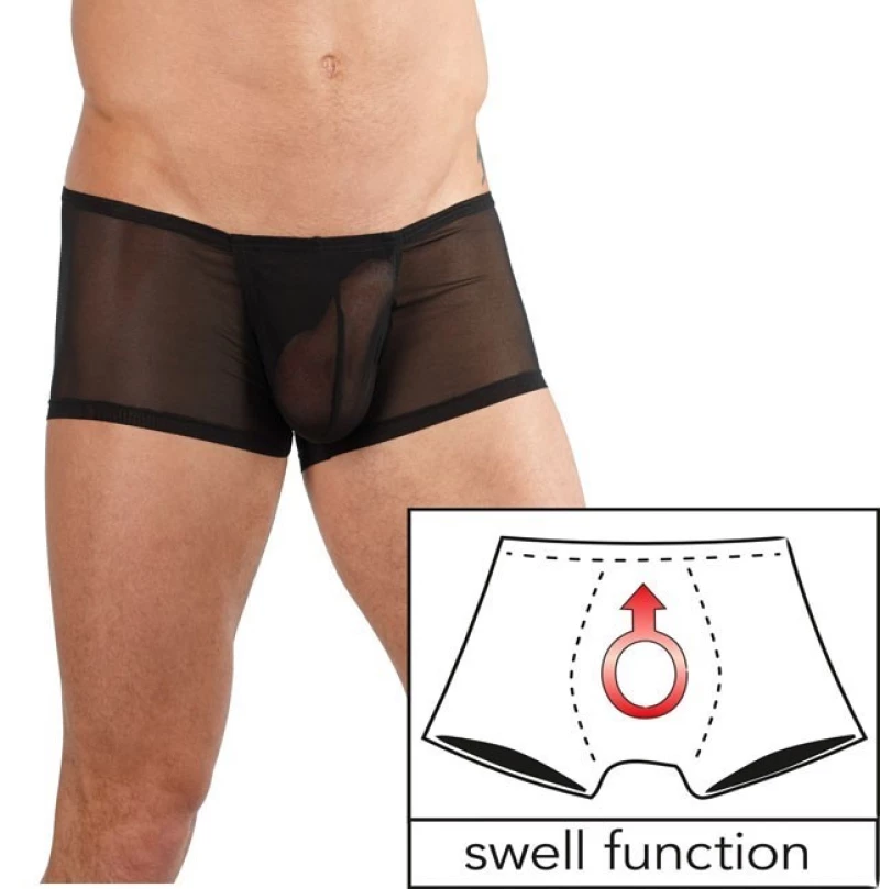 Transparent Mens Pants