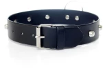 Collar studs