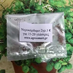 Νεροκάρδαμο 2 γρ.