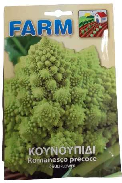 Κουνουπίδι όψιμο κωνικό ποικ.Romanesco natalino