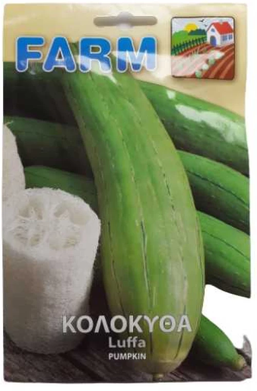 Κολοκύθα λούφα