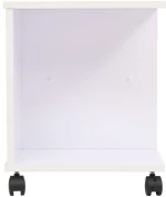 ΡΑΦΙΕΡΑ ΜΕ ΡΟΔΕΣ ΛΕΥΚΗ 50 X 35 X 42 ΕΚ. 245724