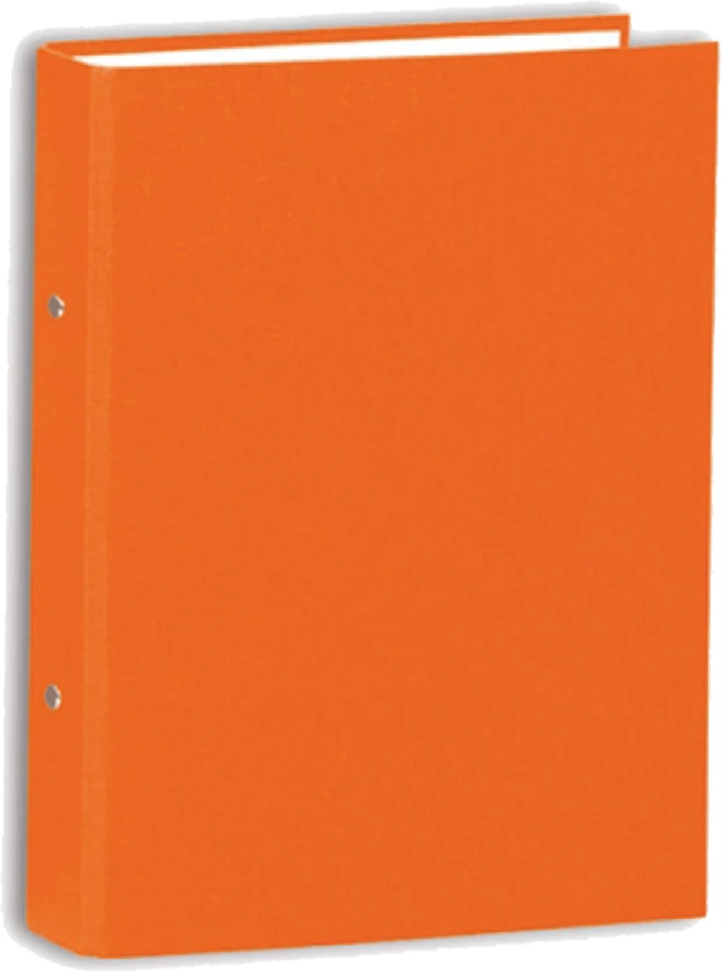Skag 290555 κλασέρ σχολικό 2-25 24x30cm πορτοκαλί