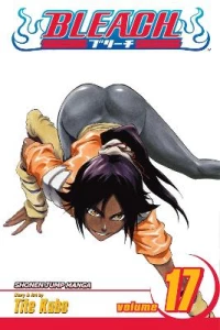 BLEACH 17  PA