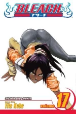 BLEACH 17  PA
